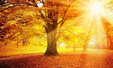 Кратки разкази за есента